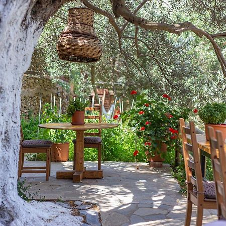 Small Paradise Andros Town Exterior foto