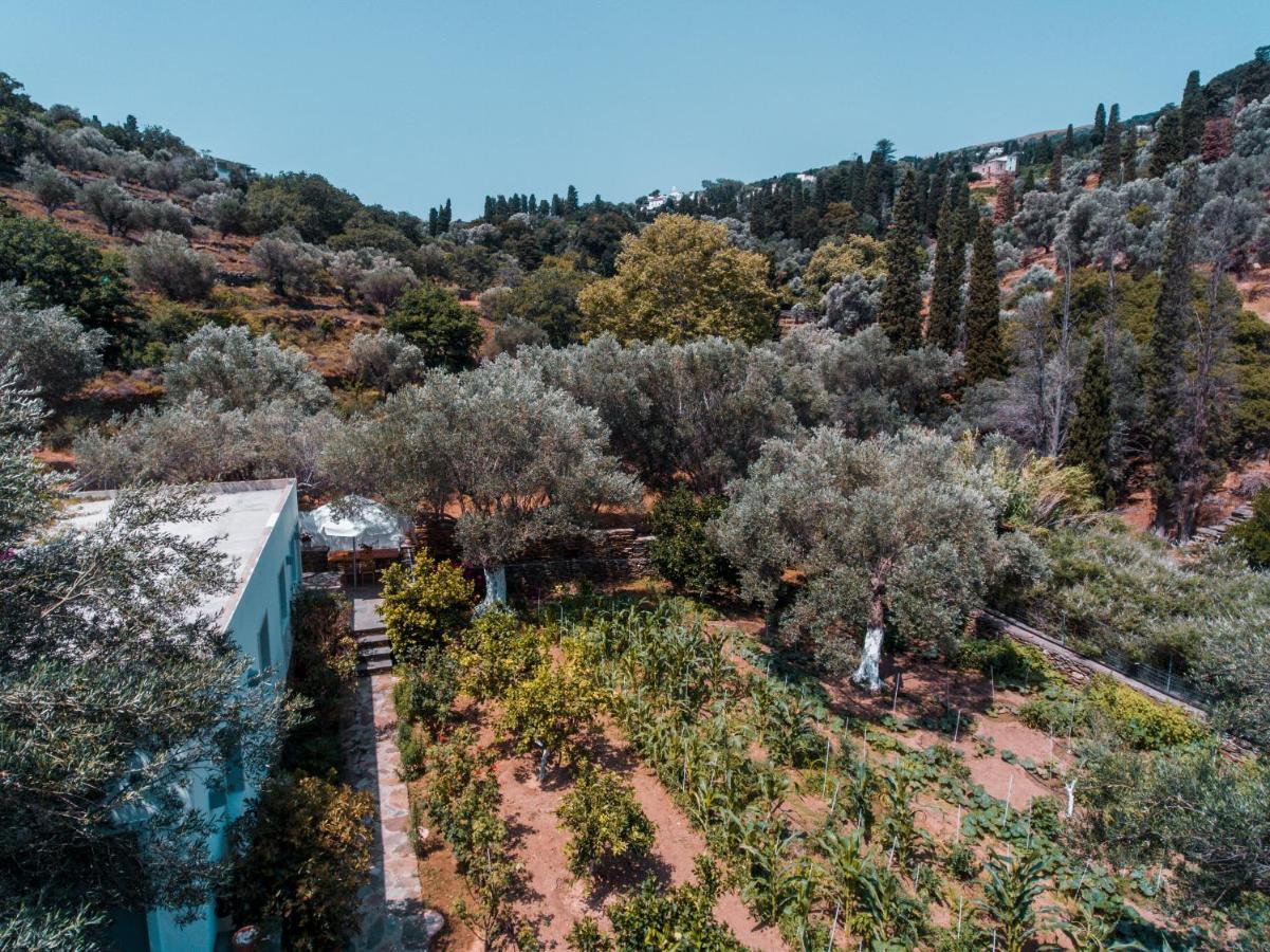 Small Paradise Andros Town Exterior foto