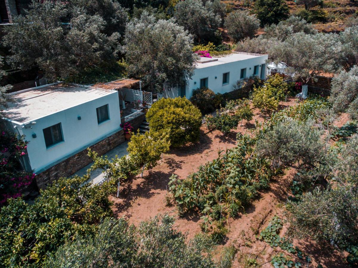 Small Paradise Andros Town Exterior foto