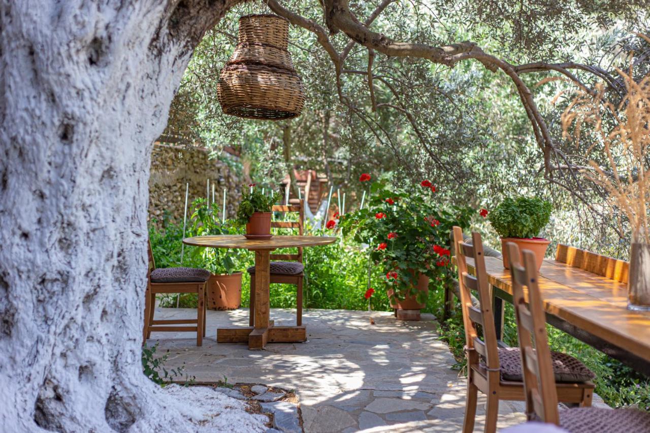 Small Paradise Andros Town Exterior foto