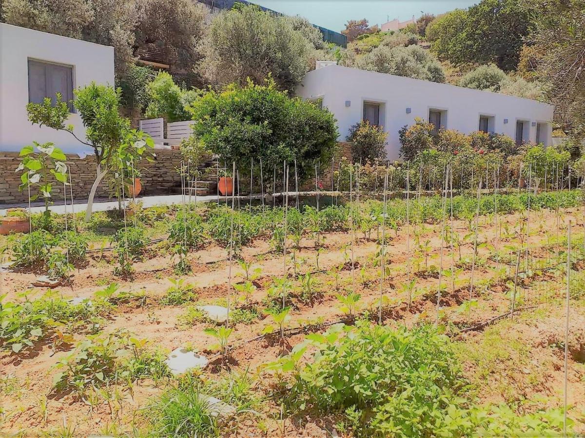 Small Paradise Andros Town Exterior foto